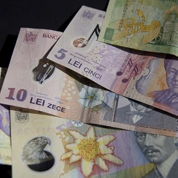 3drose Fl 82484 1 Romania Currency Lei Cindy Miller Hopkins Garden Flag 12 By 18 Amazon De Garten