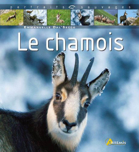 Le  chamois