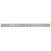 LGB G Scale Straight Track
