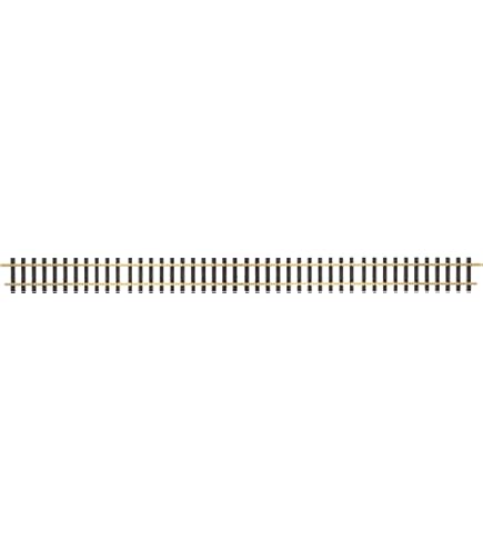 Amazon.com: LGB 10610 Straight Track, 47.2