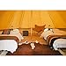 PlayDo 4-Season Waterproof Cotton Canvas Bell Tent Wall Yurt Tent with Stove Hole for Outdoor Camping Hunting Hiking Festival Party