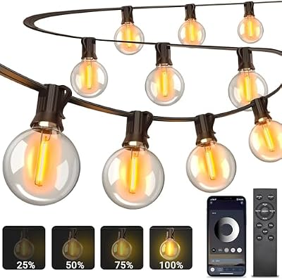 Luzes de Grinalda Exterior 30M, Controlo de Aplicação Grinaldas de Luzes Exteriores com Lâmpadas G40, 4 Modos e Sincronização de Música Luzes LED Impermeáveis IP44 para Jardim, Terraço, Festa