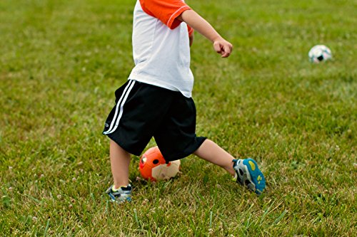 Daball Toddler Soft Soccer Ball (Cookie The Corgi), Pump Included - Thumbnail 5