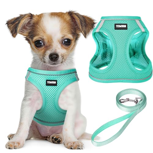 Reflective Mesh Dog Harness and Leash