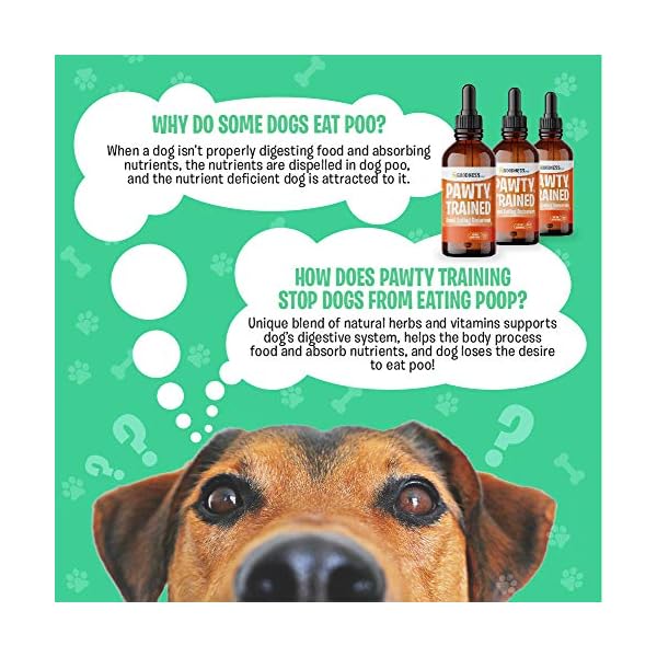 Coprophagia Treatment for Dogs Dog Stool Eating Deterrent Herbal