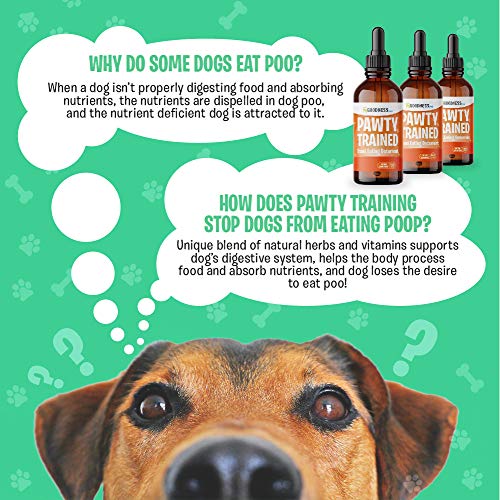 Coprophagia Treatment for Dogs Dog Stool Eating Deterrent Herbal Poop Eating Deterrent for