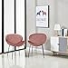 GreenForest Velvet Accent Chairs Modern Large Fabric Shell Chairs for Living Room Leisure Chairs for Bedroom Set of 2, Rose