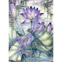 EOBROMD 5D DIY Diamond Painting, Full Drill Embroidery Painting Wall Sticker for Wall Decor - Dragonflies and Lotus Flowers (12 x 16inch)