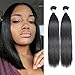 MORICA Hair 8A Brazilian Virgin Straight Hair 2 Bundles Human Hair Weave Extensions Unprocessed(8 8,Natural Color)