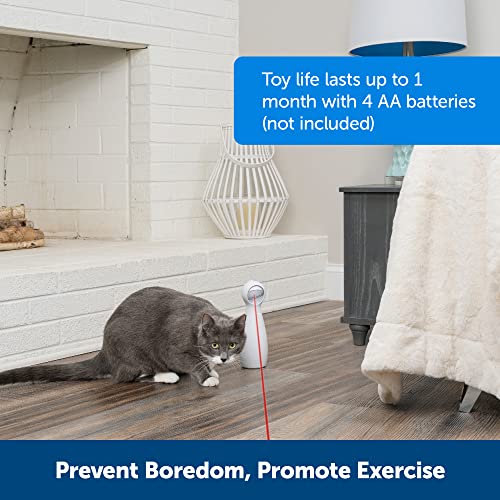 PetSafe Bolt Automatic, Interactive Laser Cat Toy Adjustable Laser with Random Patterns Small