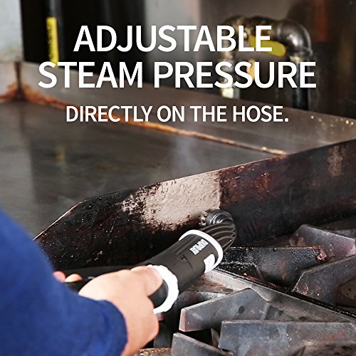 Dupray ONE Steam Cleaner Review 2019