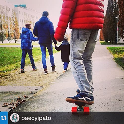 Ridge 22" Mini Cruiser Complete Board In Pink With A Choice Of 12 Wheel Colours