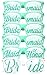 Bride Bridesmaid Glasses 6pc Set - Party Favors for Bridal Shower, Bachelorette Party & Wedding - 6 or 9 Pairs - Themed Novelty Sunglasses - Fun as Photo Booth Props too! (6pc Set, Aqua)