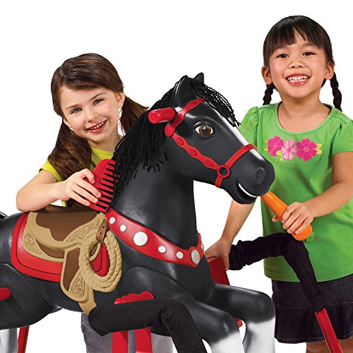 radio flyer duke