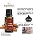 King's Remedy, Immune Boosting, Germ Virus Fighter, Optimum Health 100% Pure Therapeutic Grade Unique Formula, Full 15ml/0.5oz - by HopeWind