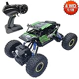 RC Car, MYH All Terrain Remote Control 1:18 Scale High-Speed Telecar, Offroad 2.4Ghz 4WD Remote Control Monster Truck