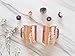 Moscow Mule Copper Mugs |16oz Set of 2 | Beer Mug Stein Shape, More Comfortable Handle - Danae Supply Co.
