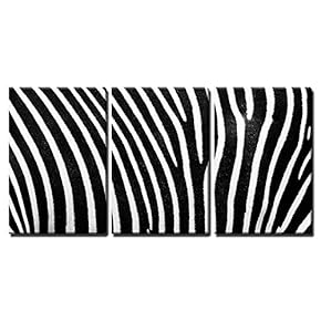 3 Piece Canvas Wall Art - Black and White Texture of Zebra Skin - Modern Home Art Stretched and Framed Ready to Hang - 16"x24"x3 Panels