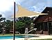 SUNNY GUARD Sun Shade Sail 10'x10'x10' Triangle Sand UV Block Sunshade for Backyard Yard Deck Patio Garden Outdoor Activities and Facility(We Make Custom Size)