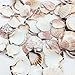 PEPPERLONELY Sea Shells Mixed Pecten Nobilis Scallop,Various Size, 1-1/2 Inch ~ 2-1/2 Inch, 800 Gram, Apprx.120 PC Sea Shells