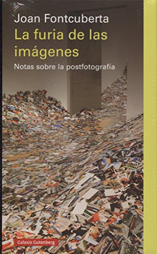 La furia de las imágenes (Ensayo)