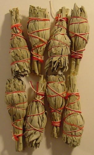 Native Scents White Sage Baby Smudge Sticks - Bulk Bag of 50