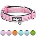 Blueberry Pet Dog Collar for Medium & Small Dogs, Pink Reflective Girl Dog Collar, Padded Neoprene Comfort, Adjustable 14.5