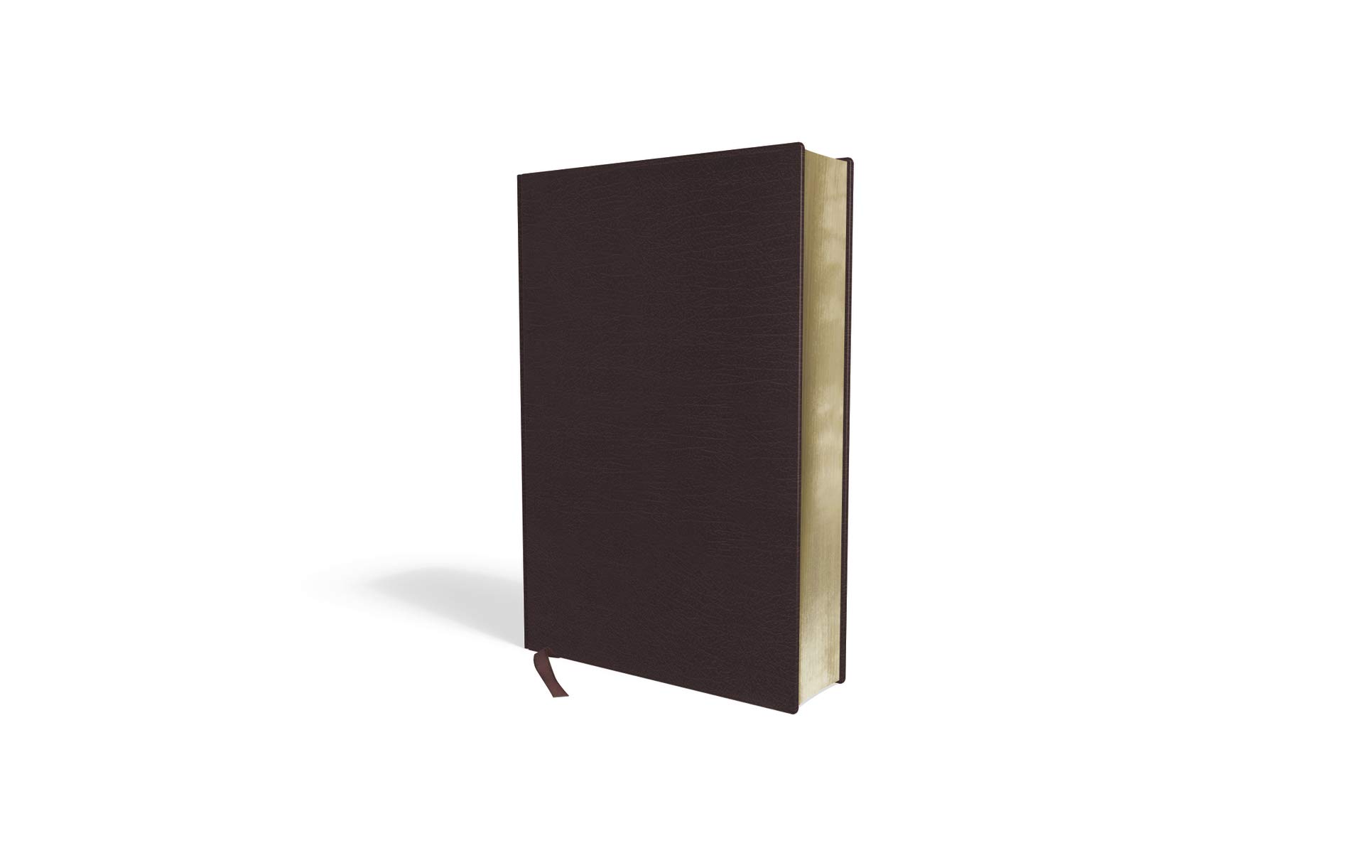 Amplified Holy Bible, Bonded Leather, Burgundy: Captures the Full Meaning Behind the Original Greek and Hebrew Amplified Holy Bible, Bonded Leather, Burgundy: Captures the Full Meaning Behind the Original Greek and Hebrew Bonded Leather