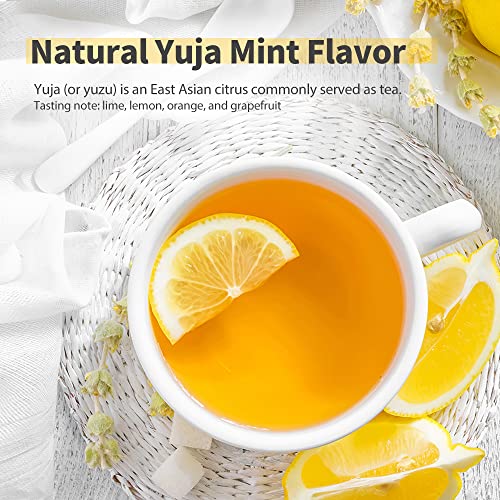 Dr.NOAH Toothpaste Tablets with Fluoride 30 Tablets Tin Travel Can