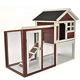 Advantek The Stilt House Rabbit Hutch