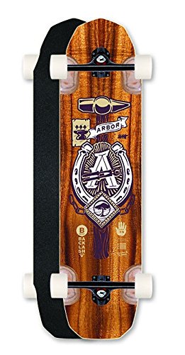 Arbor Longboard Backlash 39 Gt Icon Downhill 2013 Series