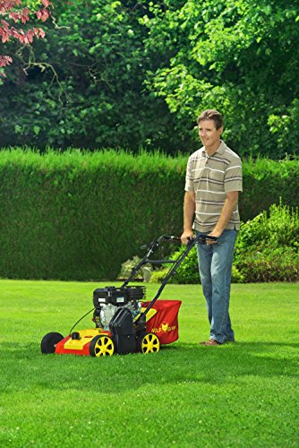 WOLF-Garten Benzin-Vertikutierer V A 357 B; 16AHGJ0F650 – Bild 3