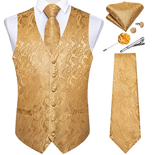DiBanGu Mens Vest Tie Set Formal Paisley