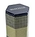 Gourmet Raw Nuts Assortment in 5 Tier Tin Tower with Pumpkin Seeds, Cashews, Hazelnuts, Almonds & Walnuts