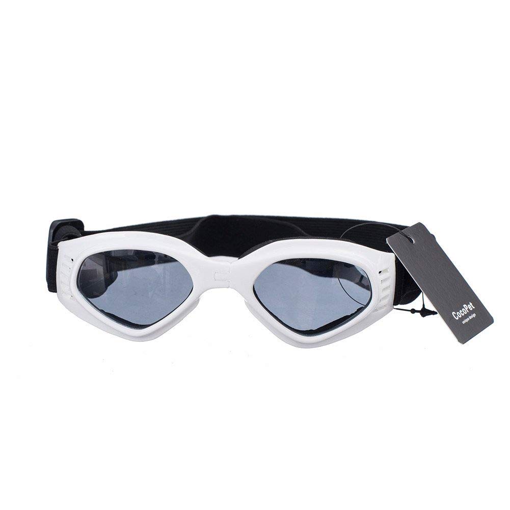 Best Rated In Dog Sunglasses Helpful Customer Reviews