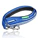 ILLUMISEEN LED Light Up Dog Leash | Ultra High Visibility Up to 350 Yards | 3 Lighting Modes | USB Rechargeable, No Batteries Needed | Padded Handle & Rotating Swivel Clasp to Prevent Leash Tangling