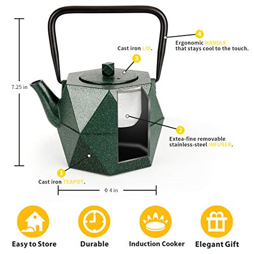 Toptier Teapot, Japanese Tetsubin Cast Iron Teapot Tea Kettle with