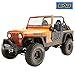 EAG US Flag Tubular 2 Door with Reflection Mirror Fit for 76-95 Jeep CJ7 / YJ Wrangler