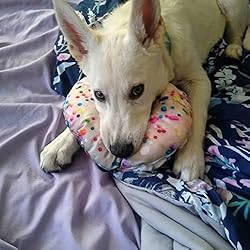 Doggijuana | Refillable Catnip Dog Toy | Naturally