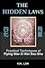 The Hidden Laws: Practical Techniques of Flying Star Zi Wei Dou Shu by Y.M. Lim