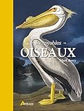 Incroyables oiseaux by