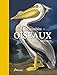 Incroyables oiseaux by