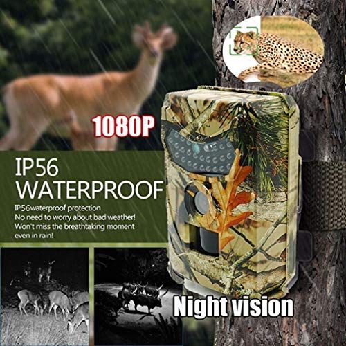 Booding Wildkamera Fotofalle 1080P Full HD 12MP mit Bewegungsmelder Nachtsicht Beutekameras mit Infrarot Leichtes Glühen… – Bild 4