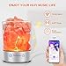 Himalayan Salt Lamp, Relassy Rock Salt Lamp Night Light Bluetooth Speaker with Dimmer, Natural Sea Salt Lamps with 2 Extra Bulbs for Home Decor, Holiday Gift