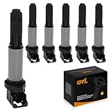 QYL Pack of 6Pcs Ignition Coils Replacement for BMW 120I 320I 325CI 325XI 325I 330I 330XI 530I 545I 550I 645CI 745I 745LI X5 Z4 760LI M3 Z3#B322 C1404 UF522 UF44 UF515