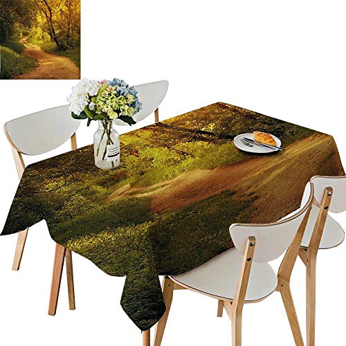 UHOO2018 Solid Tablecloth Farm Country Life Road with Flowers Trees in Woods Photo Forest Green and Square/Rectangle Spillproof Fabric Tablecloth,52 x 70inch
