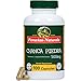 Peruvian Naturals Chanca Piedra 500mg - 100 Capsules (Stonebreaker) | Digestive Supplement for Kidney and Urinary Health