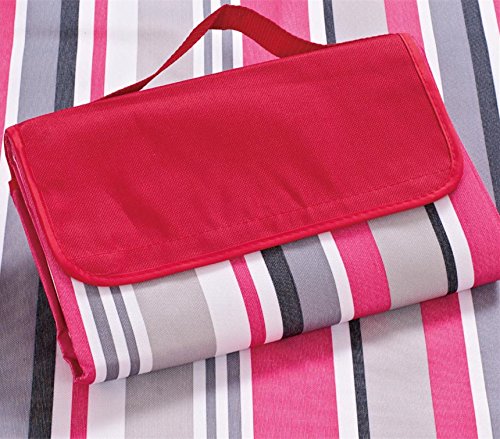 80×60“Family Picnic Blanket with Tote, Extra Large Foldable and Waterproof Camping Mat for Outdoor Beach Hiking Grass Travel NaturalRays