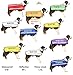 Deaf Dog White Color Coded 2 4 6 Foot Padded Dog Leash (No/Limited Hearing) Prevents Accidents by Warning Others of Your Dog in Advance (6 Foot Leash)