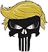 Trump Punisher Small Decal 3